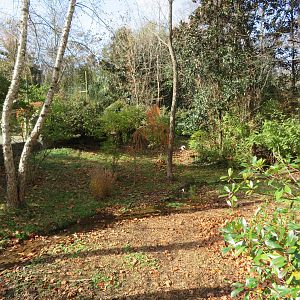Saddle-billed Stork Exhibit