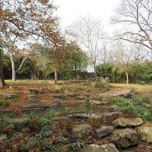 Baird's Tapir/Southern Screamer Exhibit
