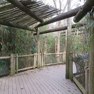 Zoo Path/Boardwalk