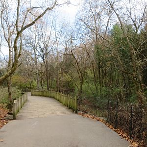 Zoo Path Through Woods