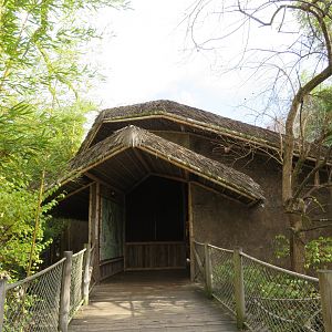 Spider Monkey Viewing Hut