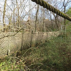 Rope Bridge