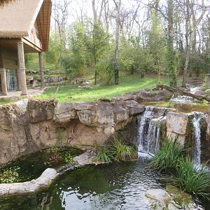 Sumatran Tiger Exhibit