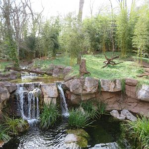 Sumatran Tiger Exhibit
