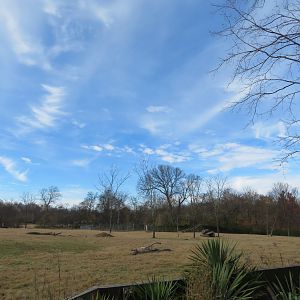 African Plains Exhibit