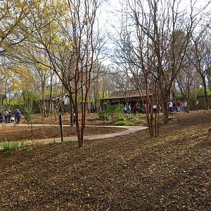 Red Kangaroo Walk-through