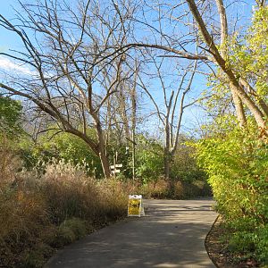 View of African Path