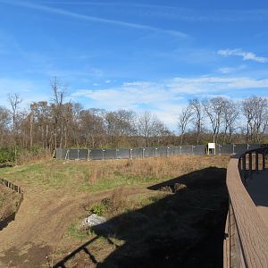 Future Komodo Dragon Area