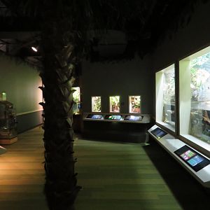 View of Unseen New World