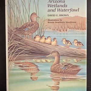 Arizona Wetlands and Waterfowl