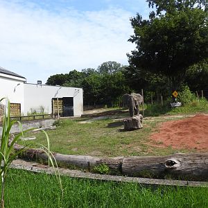 Refreshed outdoor enclourse for African elephants