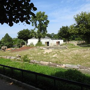 Refreshed outdoor enclourse for African elephants