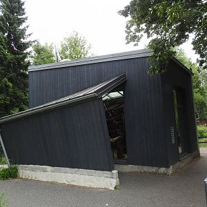 Ring-tailed lemurs house