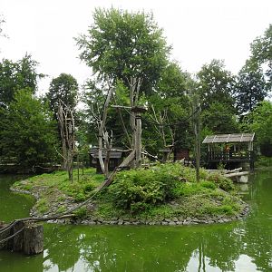 Ring-tailed lemurs house