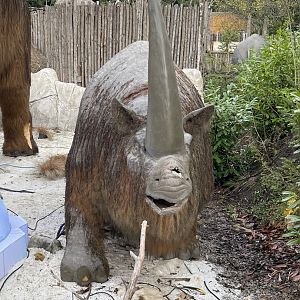Deteriorating woolly rhino