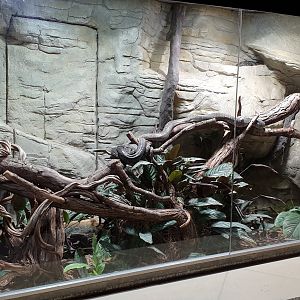 Enclosure Diamond python