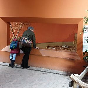 Viewing-window into Kangaroo-indoor enclosure