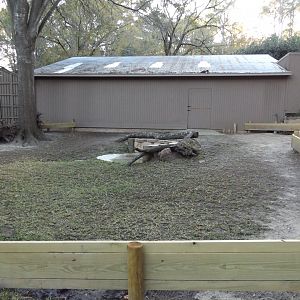 Aldabra Tortoise Exhibit