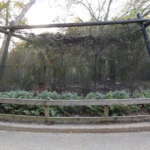 Texas- Mixed Species Aviary
