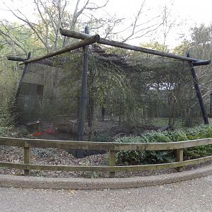 Texas- Mixed Species Aviary