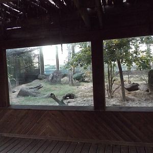Meerkat & African crested Porcupine Exhibit