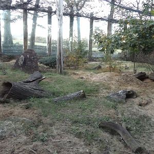Meerkat & African crested Porcupine Exhibit