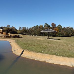 East Africa- savannah exhibit