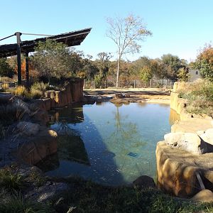 East Africa- Elephant Pool
