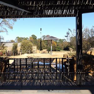 East Africa- Elephant training wall