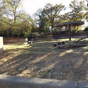 East Africa- Goat Exhibit