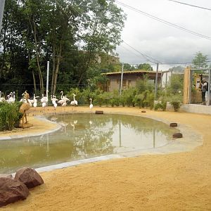 The new flamingo encolusre