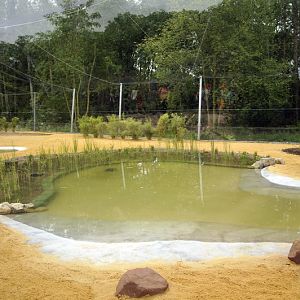 The new flamingo encolusre