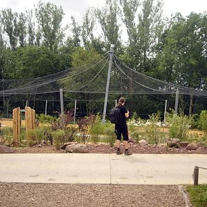 The new flamingo encolusre