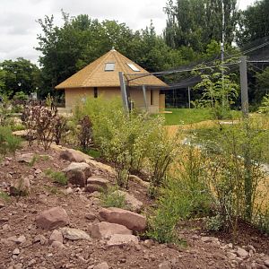 The new flamingo encolusre