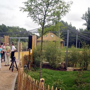 The new flamingo encolusre