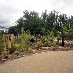 The new flamingo encolusre