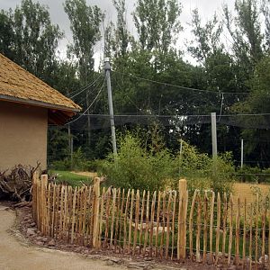 The new flamingo encolusre