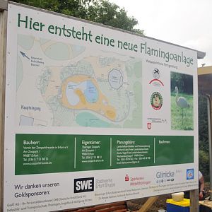 The new flamingo encolusre