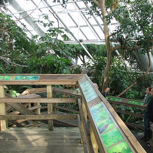 Upland Tropical Rainforest Exhibit