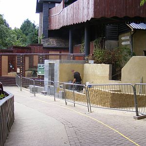 New aadvark burrow 6 August 2009