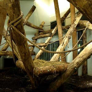 GaiaPark - Gorilla house