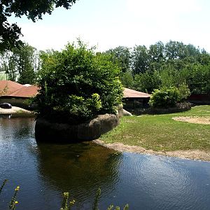 GaiaPark - Pygmy hippo exhibit
