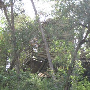 August 2, 2009 old aviaries