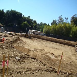 Pachyderm Forest Construction