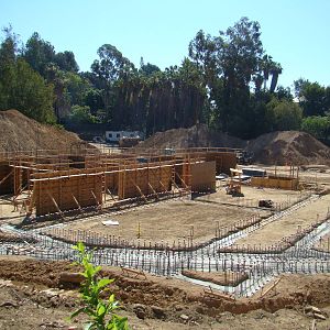 Pachyderm Forest Construction