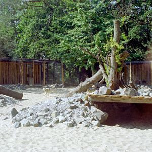 Husky Paddock at Magdeburg 09/09/2005