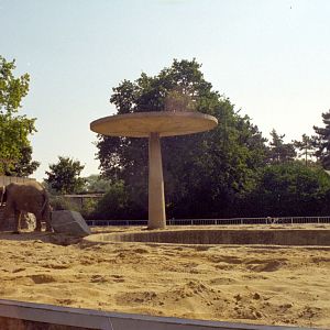 Elephant paddock at Magdeburg 09/09/2005