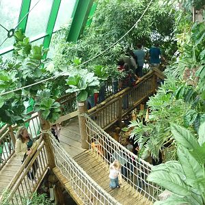 Haus des Meeres, Rainforest Exhibit