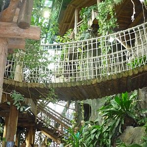 Haus des Meeres, Rainforest Exhibit