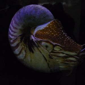 Haus des Meeres, Vienna